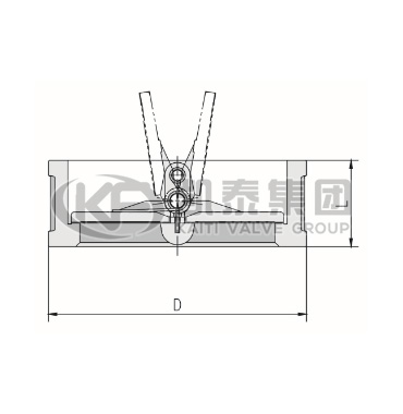 对夹双瓣旋启式止回阀